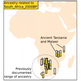 Reconstructing African population history with ancient DNA