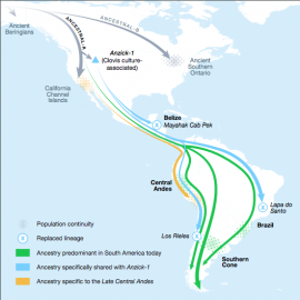 Two previously unknown genetic exchanges between North and South America
