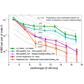 The Precontact Caribbean