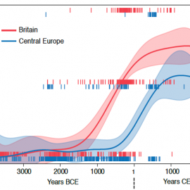 Lactase persistence became common a millennium earlier in Britain than in Europe